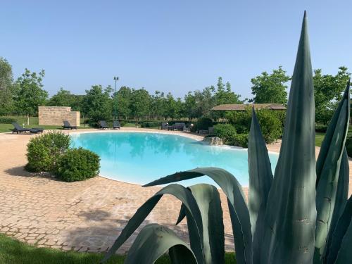 a plant in front of a swimming pool at Tenuta Monaci La Murra in Carmiano