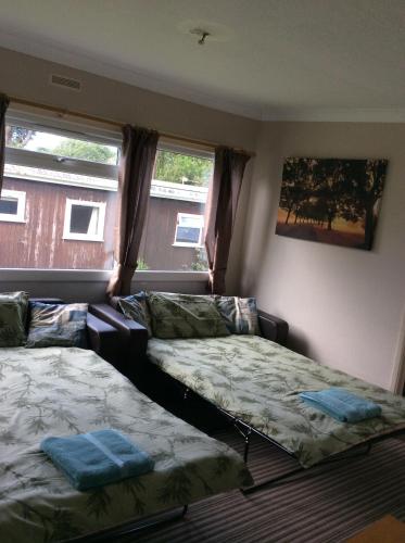 a bedroom with two beds and two windows at 19 Chalet Bucklands , Bideford Holiday Park. in Bucks Mills