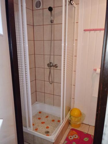 a shower in a bathroom with a shower at Domki letniskowe U GOSI in Trzęsacz