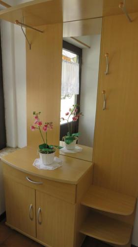 ein Badezimmer mit zwei Topfpflanzen auf einer Kommode mit Spiegel in der Unterkunft D-D in Bovec