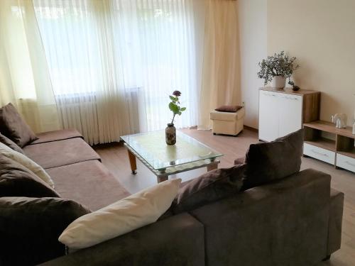 Χώρος καθιστικού στο Harz-See-Lodge