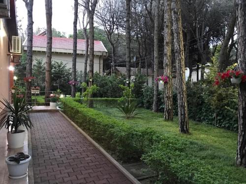Seafront Villa with a Stunning Gardenにある庭