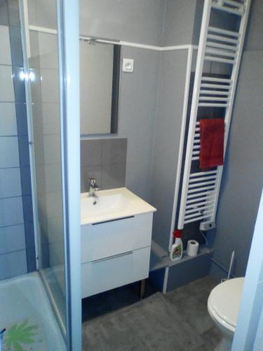 une salle de bain avec un lavabo, une douche et un miroir dans l'établissement Appartement Résidence les Acacias, à Ax-les-Thermes
