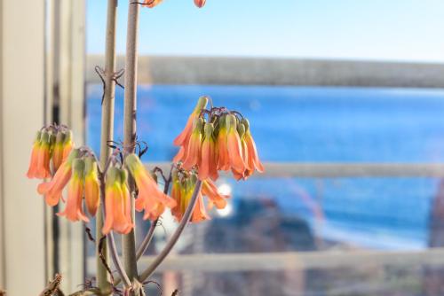 a bunch of pink and yellow flowers in front of a window at Departamentos Alto Libertad in Viña del Mar