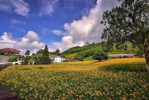 a field of yellow flowers in front of a hill at Hong Guo Homestay in Ruisui