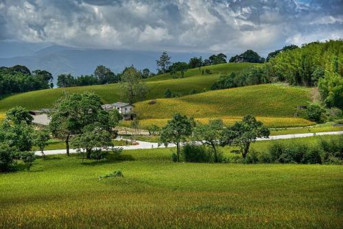 a field of green hills with a house and a road at Hong Guo Homestay in Ruisui