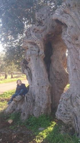 a person sitting in aukong at B & B Monte Adamo in Conversano