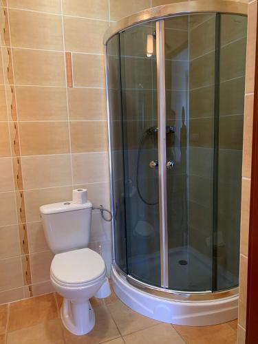 a bathroom with a toilet and a glass shower at DELFIN Pokoje Gościnne in Gąski