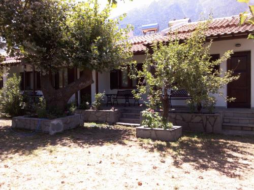 a house with two trees in a yard at Asprovalta Rooms in Kariotes