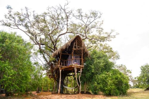 ein Baumhaus inmitten einiger Bäume in der Unterkunft The Ibis - Wilpattu in Puttalam