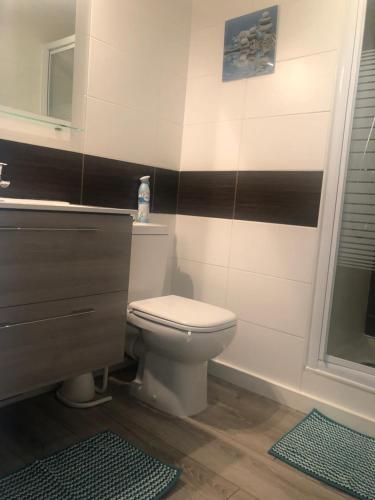 a bathroom with a toilet and a sink at Studio Victoria Surf in Biarritz