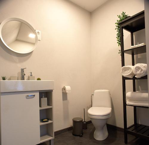 a bathroom with a toilet and a mirror at Greenhouse Apartments in Jūrmala