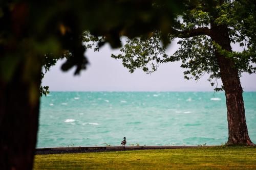 a person walking on the beach near the ocean at Oliver Lux in Tihany