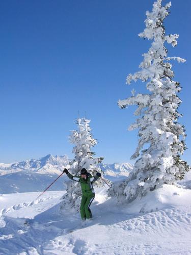 Fotografie z fotogalerie ubytování Hotel Garni Sonnhof ve Flachau