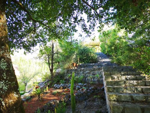 a set of stone steps in a garden with trees at Cantinho do Lucas in Alvaiázere