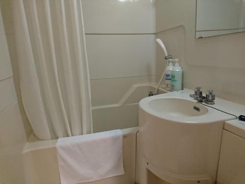 a white bathroom with a sink and a shower at Toyohashi Station Hotel in Toyohashi