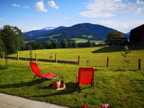 two red chairs sitting in the grass in a field at Landhaus Desiree in Hopfgarten im Brixental