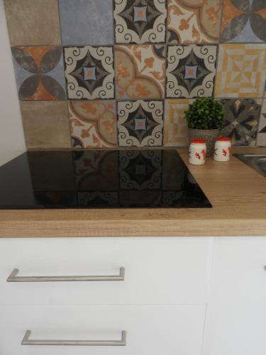 a kitchen counter with a tiled wall with a plant at Red Rose Apartment in Portorož