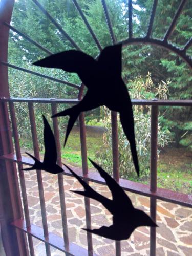 a group of birds flying around a window at Tamerici House in Montecastrilli
