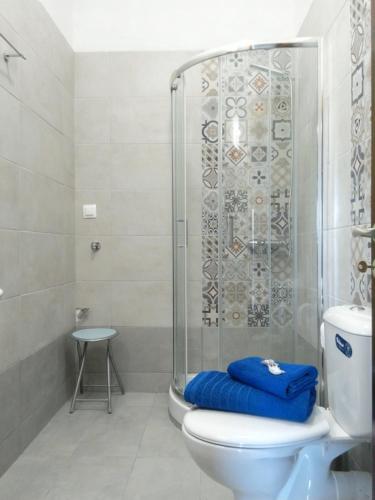 a bathroom with a toilet and a glass shower at Trizinia View Garden in Galatas