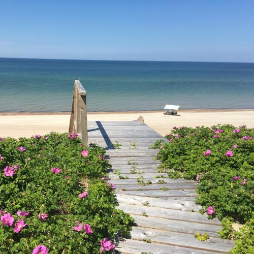 a wooden pathway to the beach with pink flowers at Apartamentai - Gintaro Įlanka in Juodkrantė