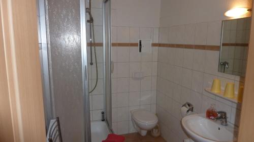 a bathroom with a shower and a toilet and a sink at Altstadt Pension Hafenblick in Stralsund