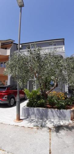 a tree and a street light in front of a building at Apartman, studio and room Kata in Pula