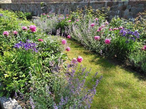 a garden filled with lots of different colored flowers at Meždzirnas Country House & SPA in Kabile