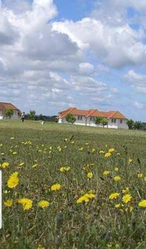 Φωτογραφία από το άλμπουμ του Ferienapartment Wiese & Meer auf Rügen σε Neddesitz