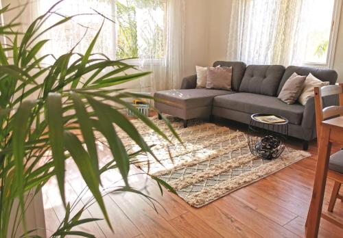 a living room with a couch and a plant at Eilat vacation house דירות נופש אילת in Eilat