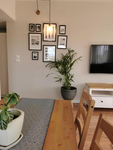 a dining room with a table and potted plants at Eilat vacation house דירות נופש אילת in Eilat