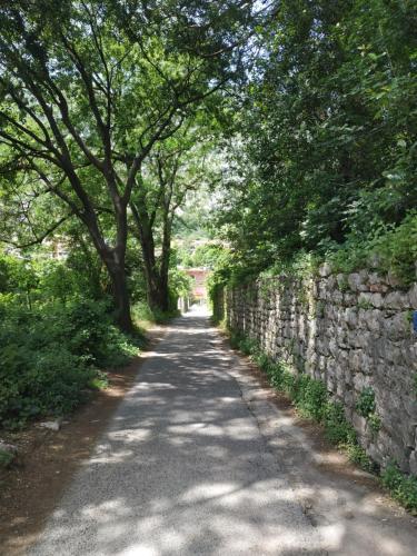 a road with trees and a stone wall at Veron Apartments in Kotor