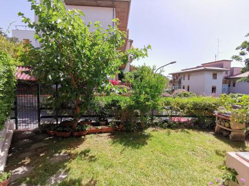 Zahrada ubytování Casa Mirtilla