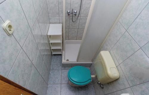 uma pequena casa de banho com um WC azul e um chuveiro em Apartments Anita em Sibinj Krmpotski