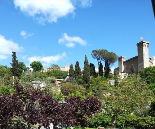 A garden outside Alloggio Turistico Civico 4