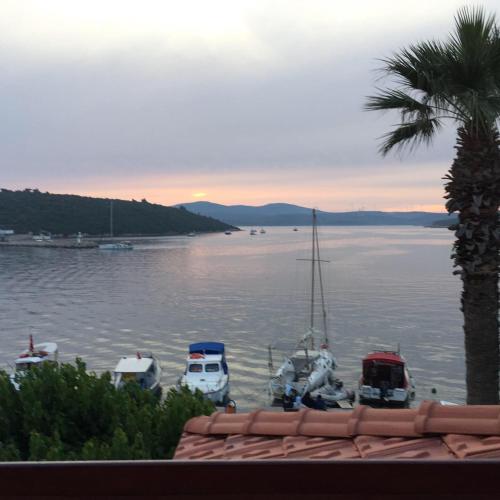 a group of boats docked in a body of water at Teos Lodge Pansiyon in Siğacık