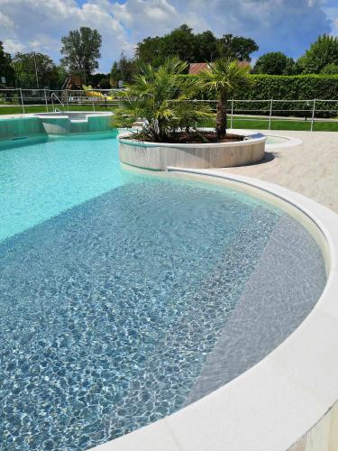 a swimming pool with blue water and palm trees at Camping Rose in Dormelletto