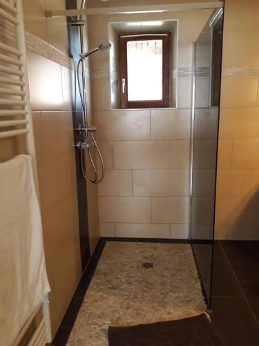 a shower with a glass door in a bathroom at 13 Rue de Sand in Matzenheim