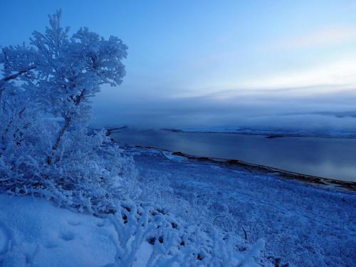 Gallery image of Varangertunet bed & breakfast in Jakobselv