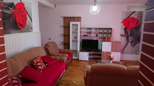 Sala de estar con 2 sofás y TV en Apartments Vesna, en Rab