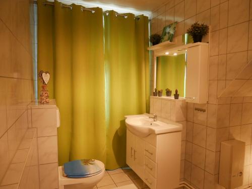 a bathroom with a green shower curtain and a toilet at Ferienwohnung Wusterwitz in Wusterwitz
