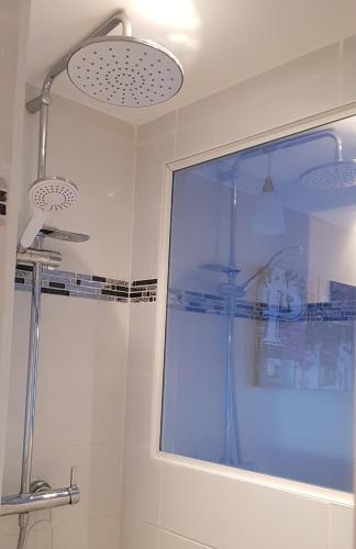 La salle de bains est pourvue d'une douche et d'une fenêtre en verre. dans l'établissement Studio Naturiste 