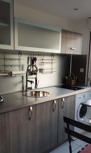 une cuisine avec un évier et un micro-ondes dans l'établissement Studio Naturiste 