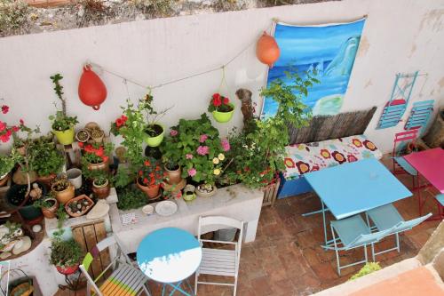 a room with a bunch of potted plants on a wall at Au Petit chez Soi in Cassis
