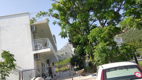 Gallery image of Guest House Levant in Čanj
