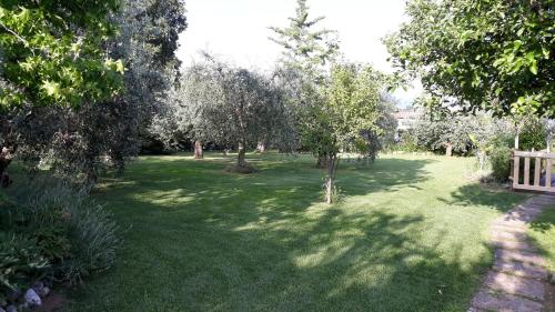 a yard with trees and green grass with a fence at El Rincon del Artista in Soiano del Lago