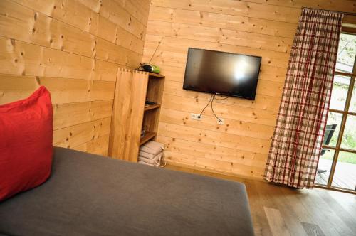 Auszeit Chaletsにあるテレビまたはエンターテインメントセンター