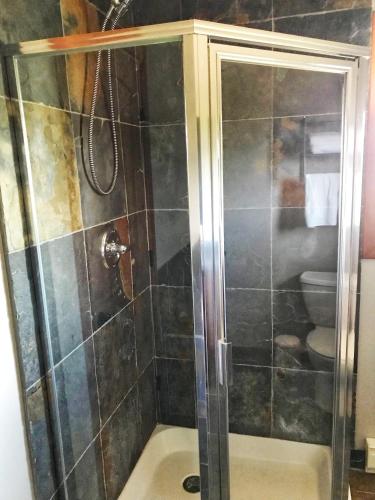 a shower with a glass door in a bathroom at Wesbert Winery & Guest Suites in Penticton