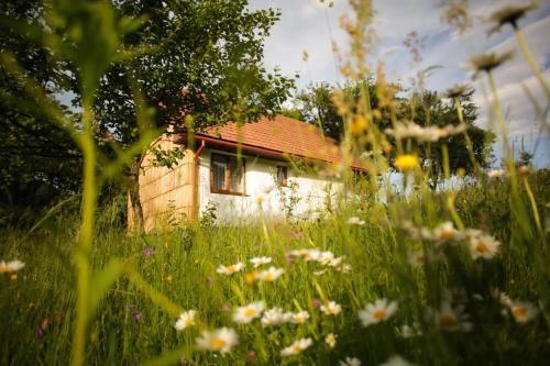 Еко Дім з СОЛОМИにある庭