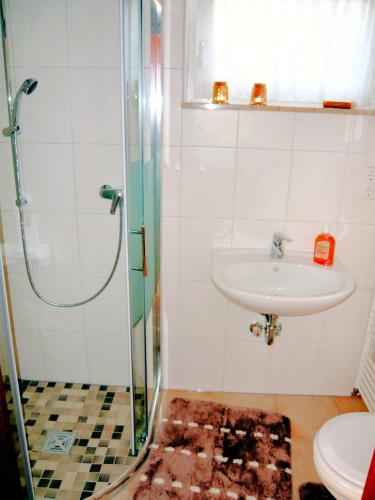 Ένα μπάνιο στο Ferienwohnung Eudenbach